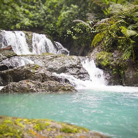 Naguala Jungle Lodge Drakes Bay 外观 照片