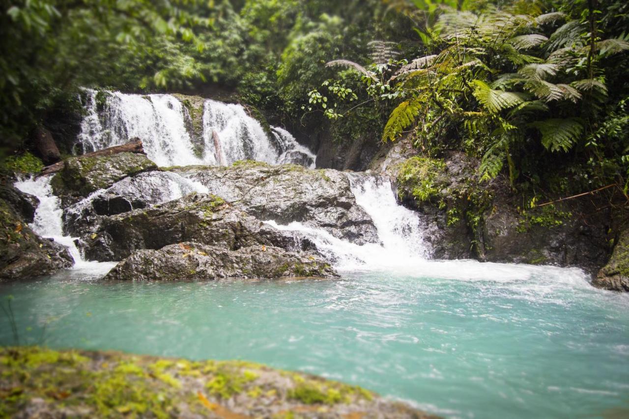 Naguala Jungle Lodge Drakes Bay 外观 照片