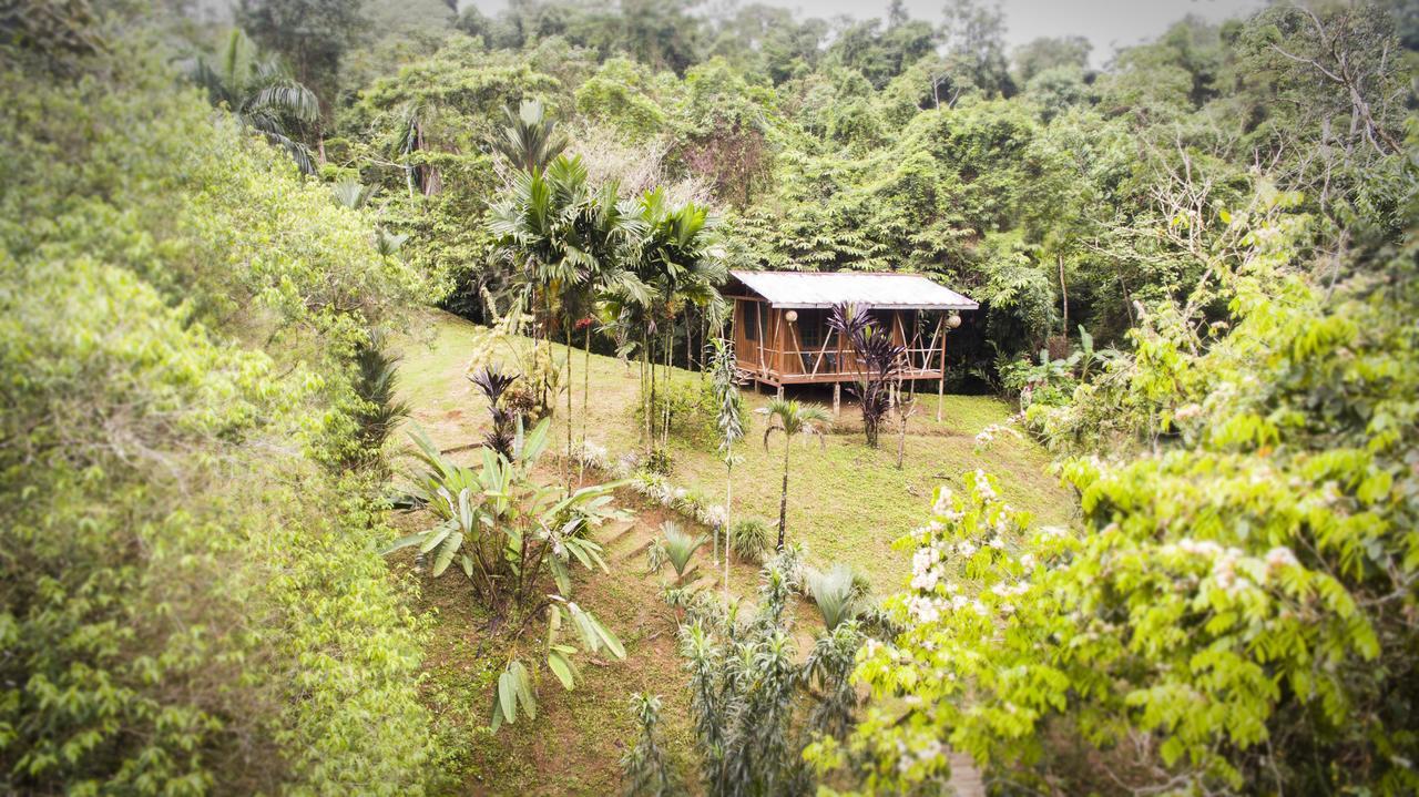 Naguala Jungle Lodge Drakes Bay 外观 照片