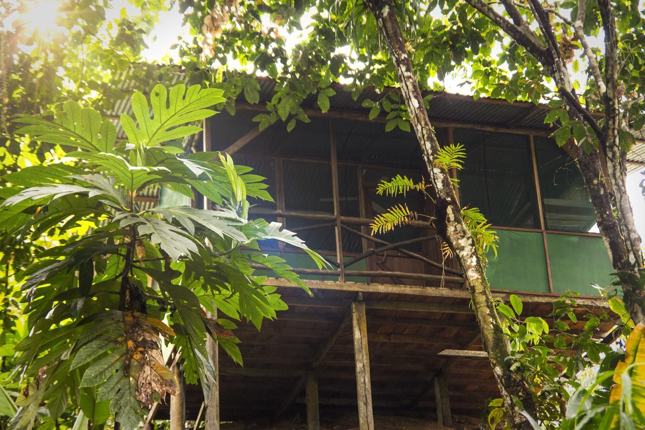 Naguala Jungle Lodge Drakes Bay 外观 照片