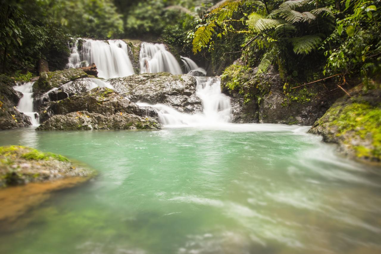 Naguala Jungle Lodge Drakes Bay 外观 照片