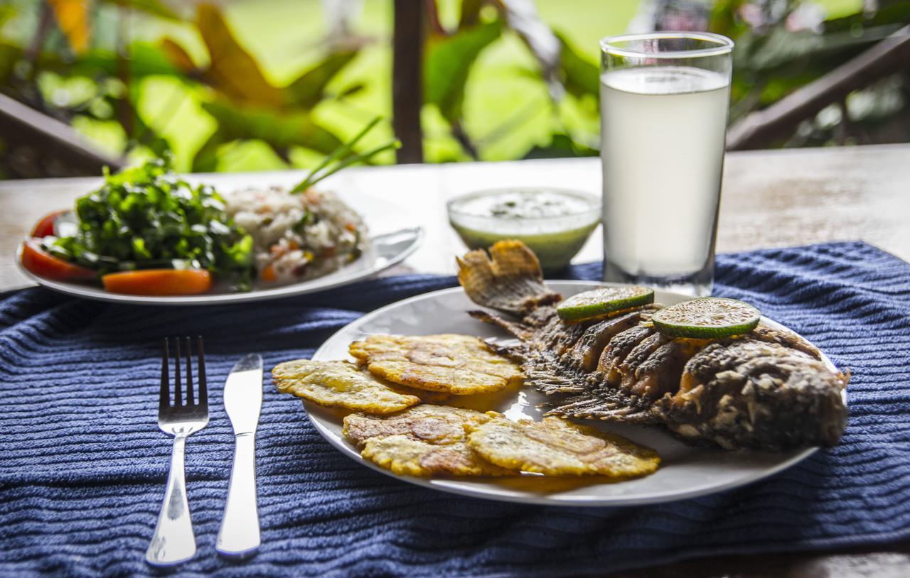 Naguala Jungle Lodge Drakes Bay 外观 照片