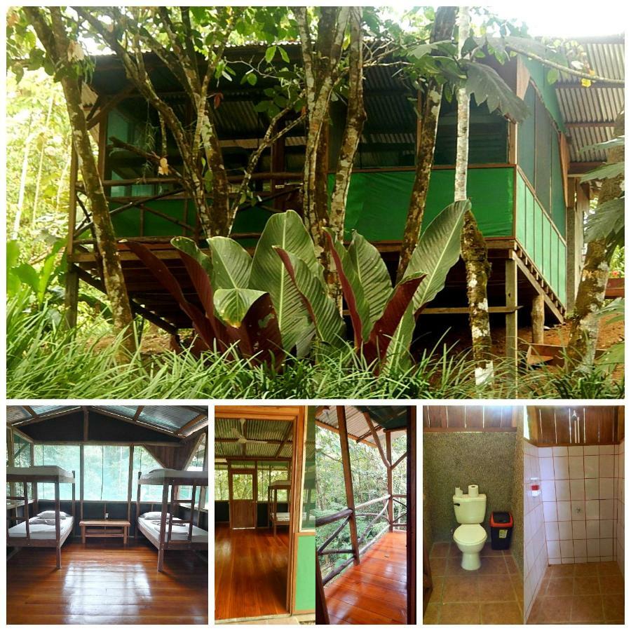 Naguala Jungle Lodge Drakes Bay 外观 照片